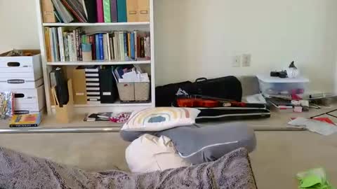 Snapshot of sweet_truffle chatting on January 4, 2025, 5:16 pm Heidi Brenner - Please check bio for schedule FAQ online show from January 4, 2025, 5:16 pm