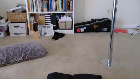 Snapshot of sweet_truffle chatting on January 28, 2025, 4:41 pm Heidi Brenner - Please check bio for schedule FAQ online show from January 28, 2025, 4:41 pm