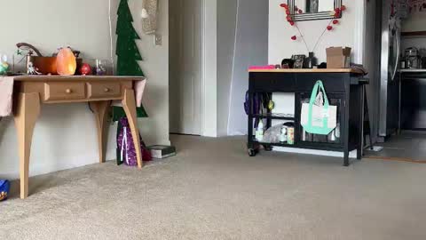 Snapshot of sweet_truffle chatting on December 14, 2025, 2:33 pm Heidi Brenner - Please check bio for schedule FAQ online show from December 14, 2025, 2:33 pm