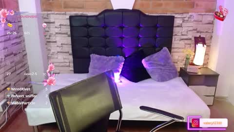 Snapshot of sweet_valery21 chatting on February 21, 2025, 8:38 pm valery online show from February 21, 2025, 8:38 pm