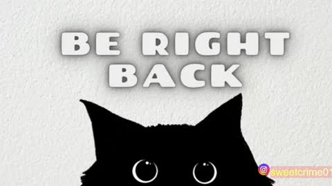       Independent model online show from October 12, 2025, 3:38 am