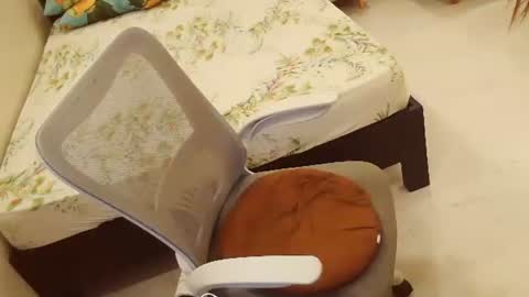 Snapshot of sweetjhenn69 chatting on January 23, 2025, 4:04 pm sweetjhenn69 online show from January 23, 2025, 4:04 pm