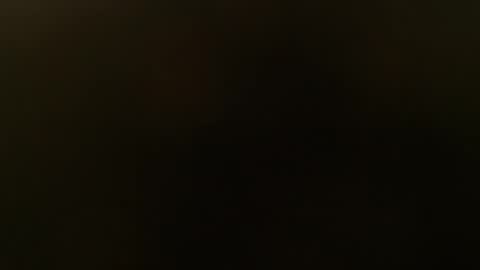 slim ivy online show from October 26, 2025, 5:52 pm