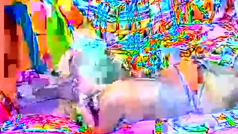 Snapshot of sweetyummygirl chatting on September 22, 2025, 8:33 pm Sweetyummygirl online show from September 22, 2025, 8:33 pm