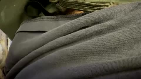 tRex online show from October 24, 2025, 1:03 am