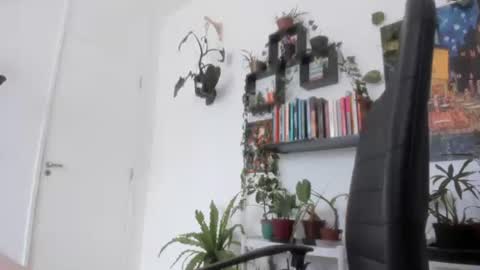 Snapshot of talimajid chatting on November 26, 2025, 11:44 am Tali Majid online show from November 26, 2025, 11:44 am