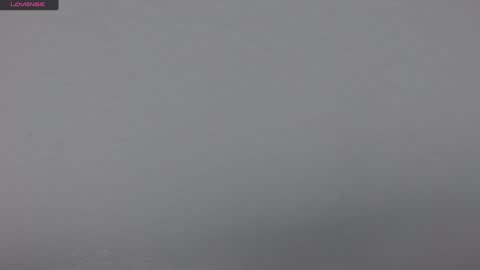 Snapshot of tamara_aa chatting on February 8, 2025, 6:22 pm Tamara online show from February 8, 2025, 6:22 pm