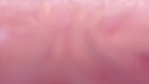 Snapshot of tamy_ian chatting on January 31, 2025, 10:42 pm Tamy ian online show from January 31, 2025, 10:42 pm