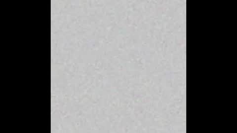 Snapshot of tasteflavored_femboy chatting on February 24, 2025, 10:15 am Taste online show from February 24, 2025, 10:15 am