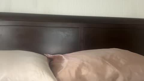 Snapshot of tatiannatease chatting on December 14, 2025, 9:08 pm Tatianna Marie online show from December 14, 2025, 9:08 pm