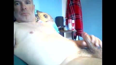 tazo78 online show from November 9, 2025, 12:58 pm