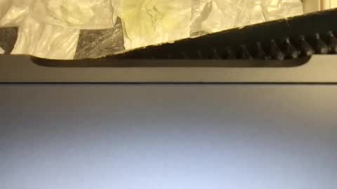 Snapshot of terence00000007 chatting on November 9, 2025, 4:55 am Terence online show from November 9, 2025, 4:55 am