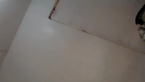 Snapshot of tgirl_luna69 chatting on March 8, 2025, 3:06 am Luna online show from March 8, 2025, 3:06 am