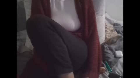 Snapshot of the_borderlands chatting on November 13, 2025, 11:42 am the crazy travellers online show from November 13, 2025, 11:42 am