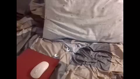 Snapshot of the_borderlands chatting on December 1, 2025, 8:52 am the crazy travellers online show from December 1, 2025, 8:52 am