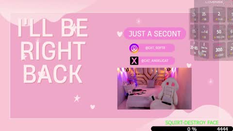 i am Cat  online show from January 15, 2025, 7:34 pm