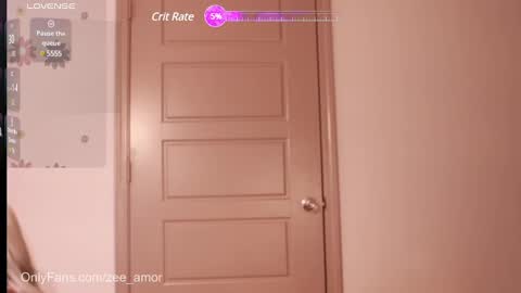 Snapshot of the_hippieprincess chatting on January 5, 2025, 2:08 pm Zee Amor online show from January 5, 2025, 2:08 pm