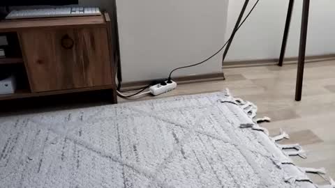 thefckngcber online show from September 28, 2025, 9:53 pm