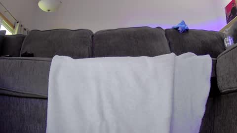 Snapshot of thegreat6268469 chatting on September 12, 2025, 11:37 pm thegreat6268469 online show from September 12, 2025, 11:37 pm