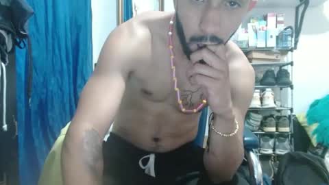 thehousedog online show from February 27, 2025, 5:04 pm