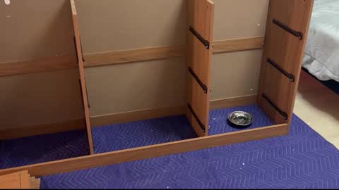 Snapshot of therealdylansdick chatting on November 15, 2025, 12:41 am therealdylansdick online show from November 15, 2025, 12:41 am