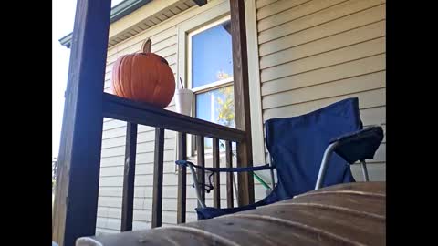 therizzler_1_of_1 online show from October 22, 2025, 7:57 pm