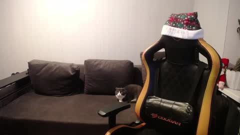 Nick   online show from December 27, 2024, 3:59 pm