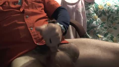 Snapshot of thetnguy chatting on December 23, 2024, 6:27 pm thetnguy online show from December 23, 2024, 6:27 pm