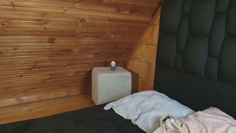 Snapshot of thiago_n_sam chatting on November 1, 2025, 12:01 am thiago_n_sam online show from November 1, 2025, 12:01 am