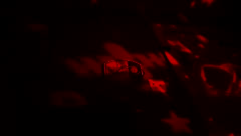 Thickamber online show from September 24, 2025, 10:18 am