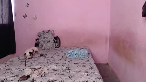 Snapshot of tianiiss_sweet chatting on November 6, 2025, 9:37 pm Tiana online show from November 6, 2025, 9:37 pm