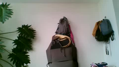 Snapshot of tiaretiareopui chatting on October 31, 2025, 11:22 am tiaretiareopui online show from October 31, 2025, 11:22 am