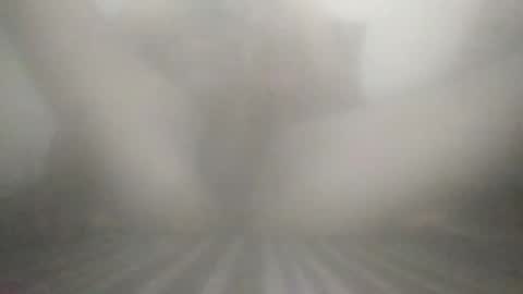 Snapshot of tiger005588 chatting on December 13, 2025, 7:53 pm tiger005588 online show from December 13, 2025, 7:53 pm