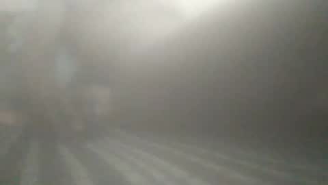 Snapshot of tiger005588 chatting on December 14, 2025, 4:01 pm tiger005588 online show from December 14, 2025, 4:01 pm