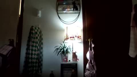 tigerlily online show from November 7, 2025, 4:51 pm