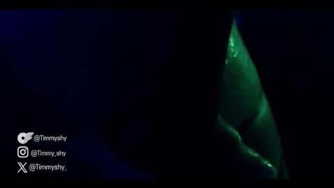 Snapshot of timmyshy chatting on November 22, 2025, 9:14 pm timmyshy online show from November 22, 2025, 9:14 pm