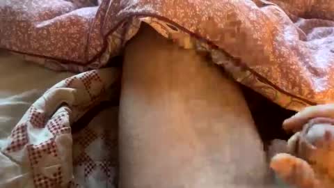 tliverth online show from November 28, 2025, 7:11 am