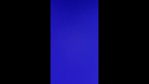 Vols online show from February 24, 2025, 2:58 pm