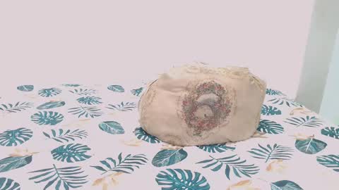 David online show from February 9, 2025, 7:16 am