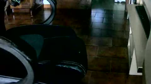 Snapshot of tobikoyuzu chatting on December 28, 2024, 4:52 pm Tobiko online show from December 28, 2024, 4:52 pm