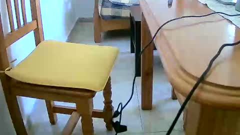 Snapshot of tobikoyuzu chatting on December 31, 2024, 12:25 pm Tobiko online show from December 31, 2024, 12:25 pm