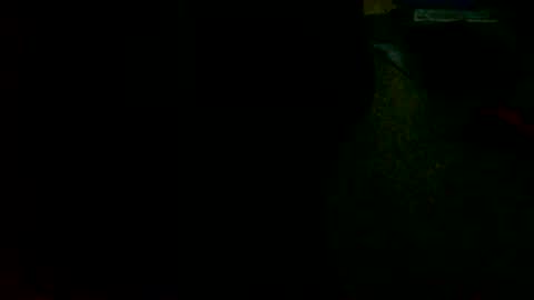 Snapshot of tobikoyuzu chatting on January 1, 2025, 5:33 pm Tobiko online show from January 1, 2025, 5:33 pm