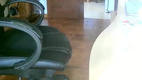 Snapshot of tobikoyuzu chatting on January 3, 2025, 3:55 pm Tobiko online show from January 3, 2025, 3:55 pm