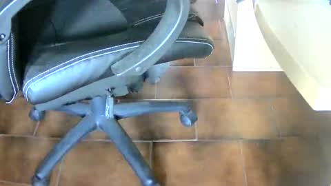 Snapshot of tobikoyuzu chatting on January 14, 2025, 4:18 pm Tobiko online show from January 14, 2025, 4:18 pm