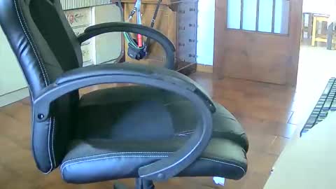 Snapshot of tobikoyuzu chatting on September 15, 2025, 11:54 am Tobiko online show from September 15, 2025, 11:54 am