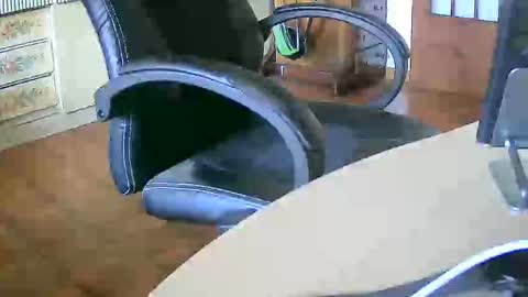 Snapshot of tobikoyuzu chatting on September 30, 2025, 11:48 am Tobiko online show from September 30, 2025, 11:48 am