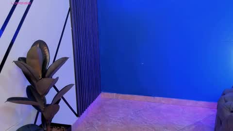 Snapshot of todoroki_g chatting on October 29, 2025, 12:29 pm todoroki_g online show from October 29, 2025, 12:29 pm