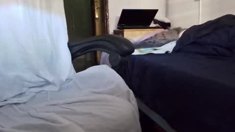 Snapshot of tolon408472 chatting on November 4, 2025, 2:38 pm tolon408472 online show from November 4, 2025, 2:38 pm