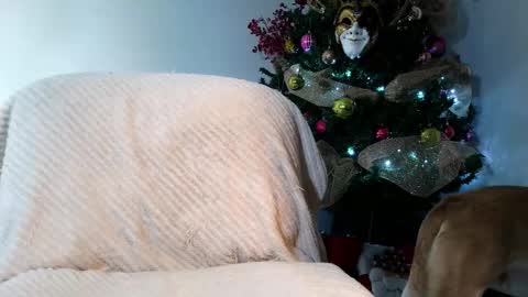 Enzo Moretti online show from November 28, 2025, 1:52 am