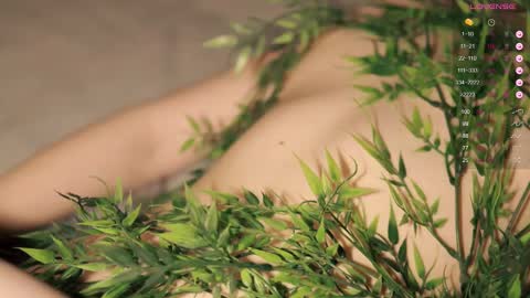 Toshi online show from March 5, 2025, 1:06 pm